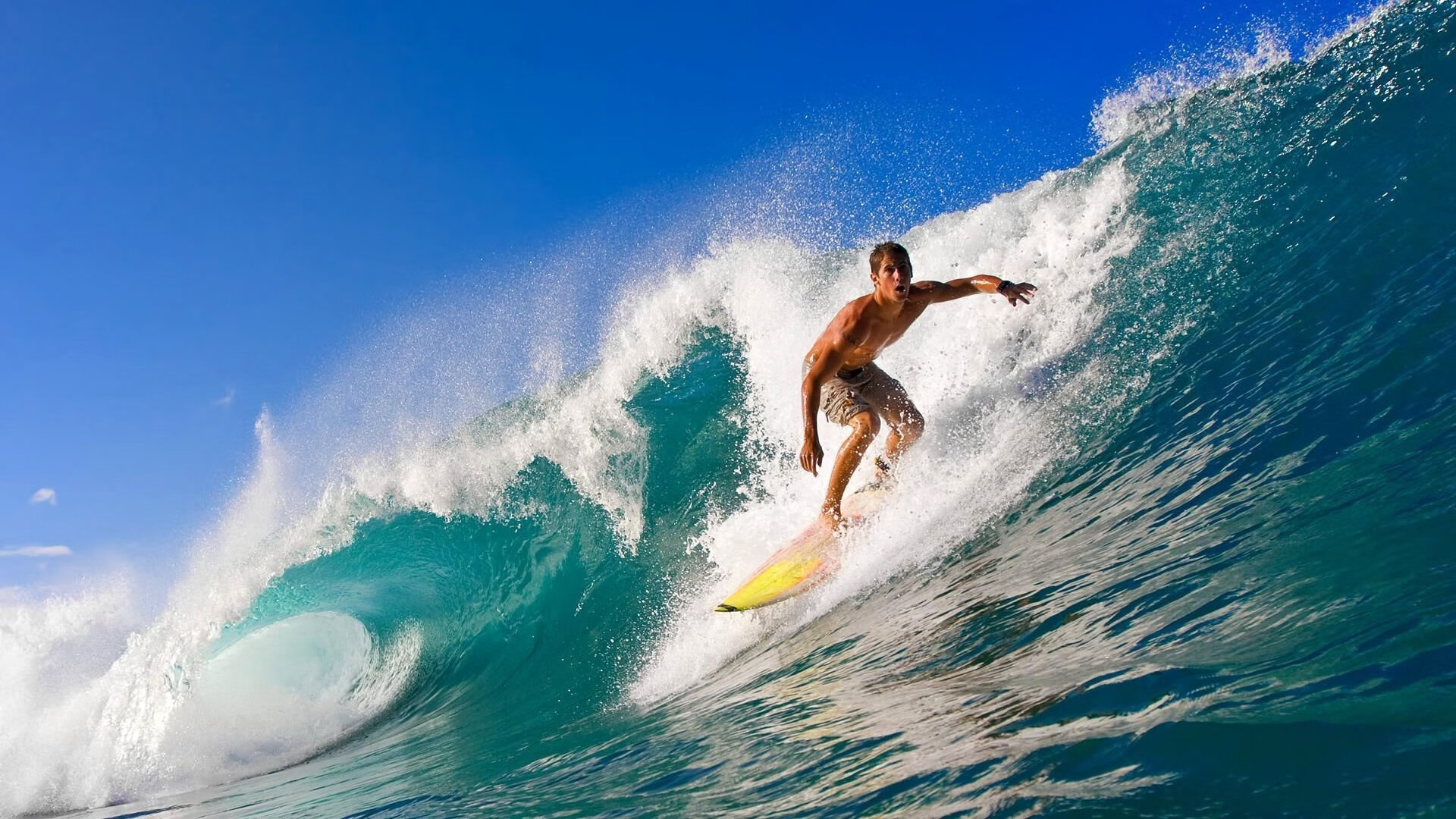 青训崛起：未来之星如何快速成长？，未来之星在哪